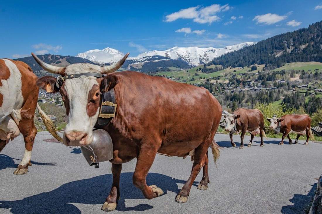 <span><span><span>Charming hotel Megève</span></span></span> <span><span><span>· Photos · Au Coin du Feu</span></span></span>